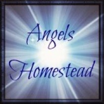 Angels-Homestead-Button