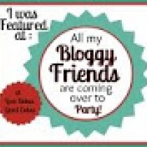 my-bloggy-friends