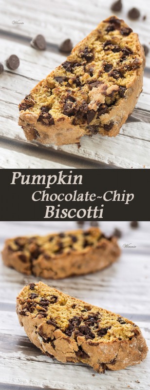 Pumpkin Chocolate Chip Biscotti