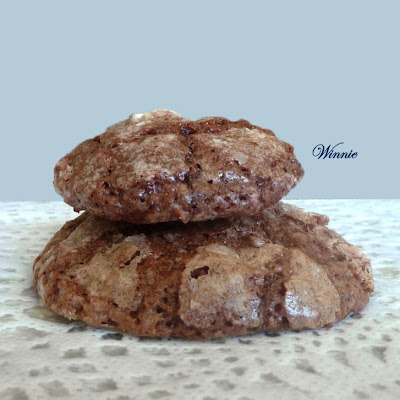 Chocolate Cottage-Cheese Cookies
